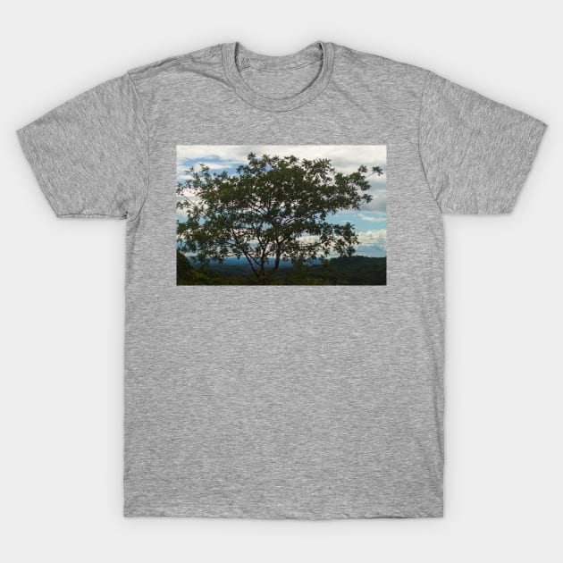 blla silhouette tree T-Shirt by pcfyi